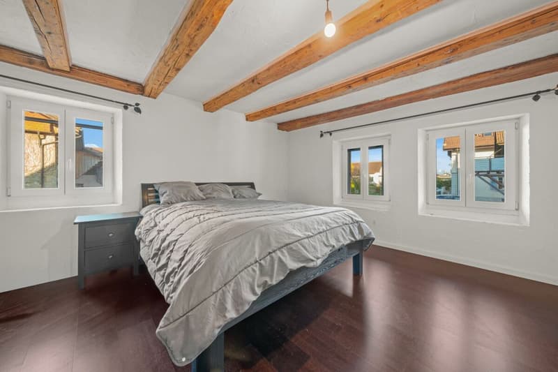 Spacieux duplex entièrement rénové avec grande terrasse extérieur (5)