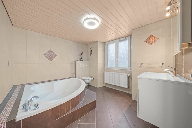 Spacieux duplex entièrement rénové avec grande terrasse extérieur (9)