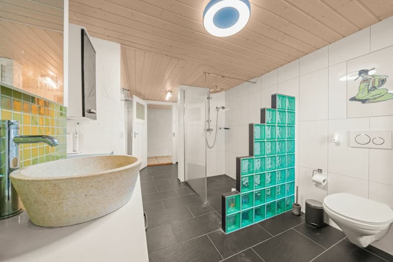 Spacieux duplex entièrement rénové avec grande terrasse extérieur (8)