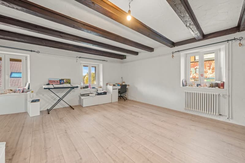 Spacieux duplex entièrement rénové avec grande terrasse extérieur (6)