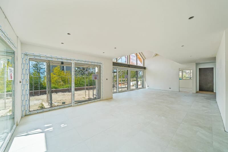 Villa C - Veytaux (6)