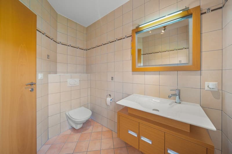 Superbe villa individuelle avec un vaste terrain (12)