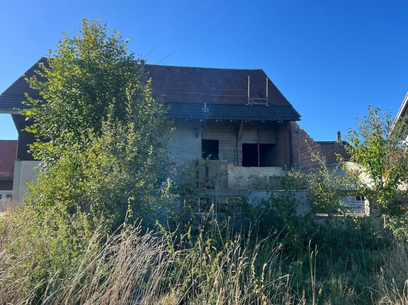 Ferme vaudoise de caractère avec important potentiel de transformation (3)