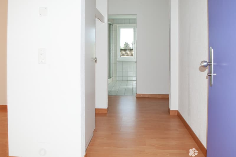Charmante 4-Zimmer-Wohnung nahe des Zentrums Biel/Bienne (7)