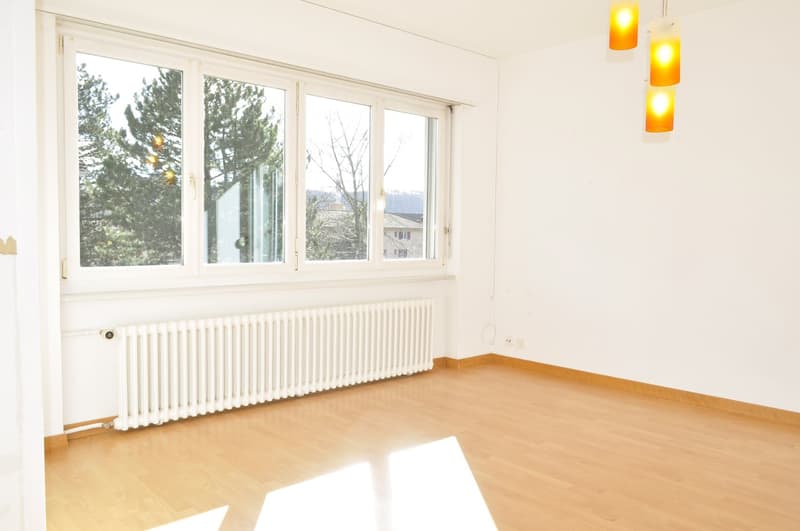 Charmante 4-Zimmer-Wohnung nahe des Zentrums Biel/Bienne (15)
