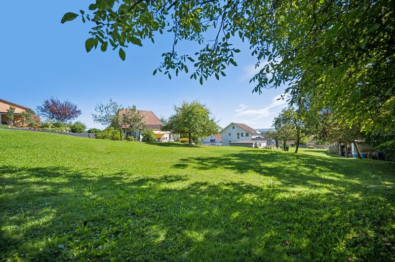 Traumhaftes Bauland mit Bergblick in ruhiger Lage von Orpund (4)