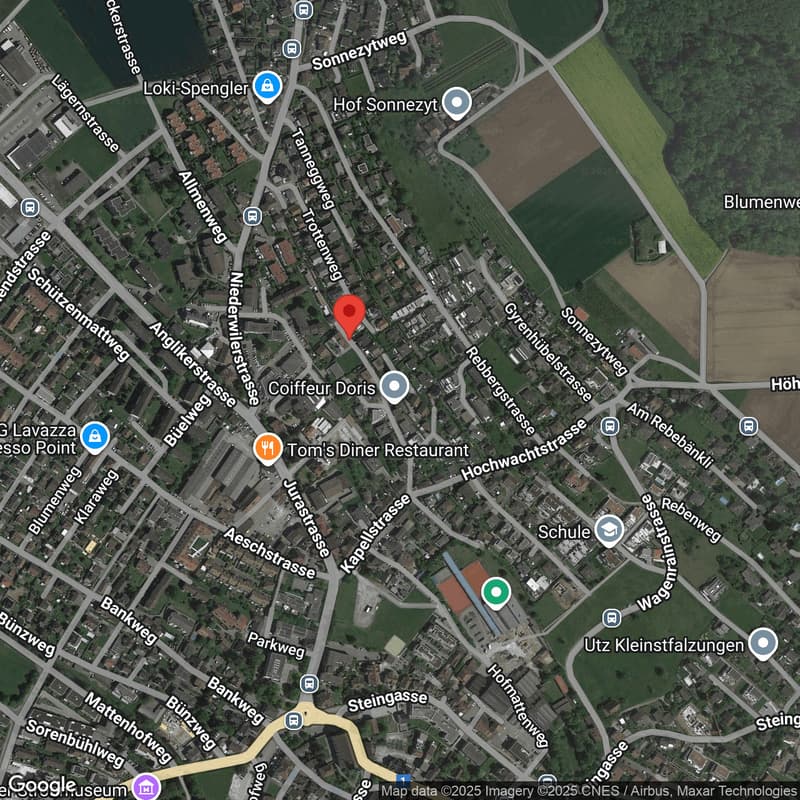 WOHNGENUSS AN ERHÖHTER LAGE Neues 5 ½ Zi-DEFHs (B) in Wohlen (9)