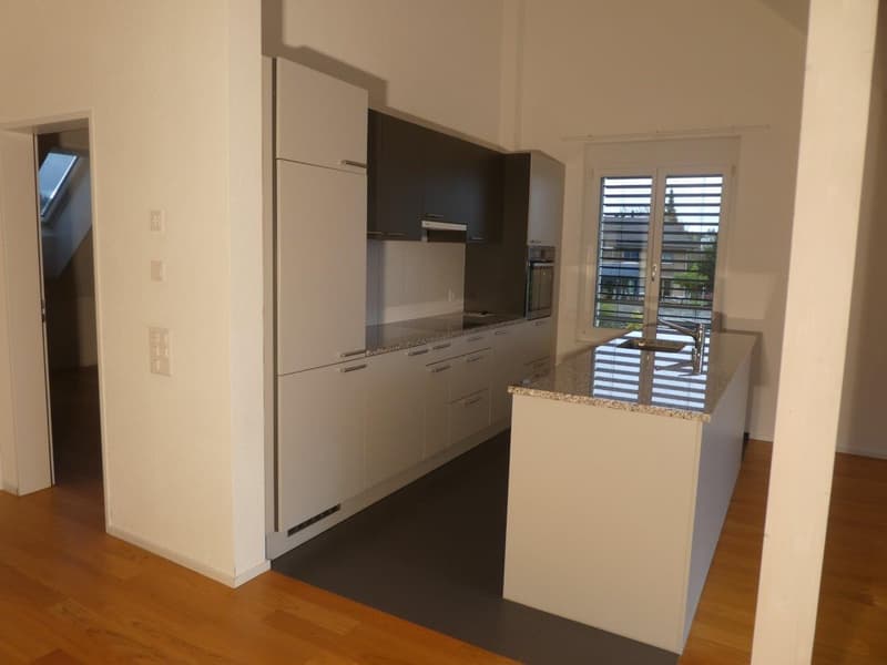 modern kitchen with white cabinets, granite countertop, stainless steel appliances, wooden floor