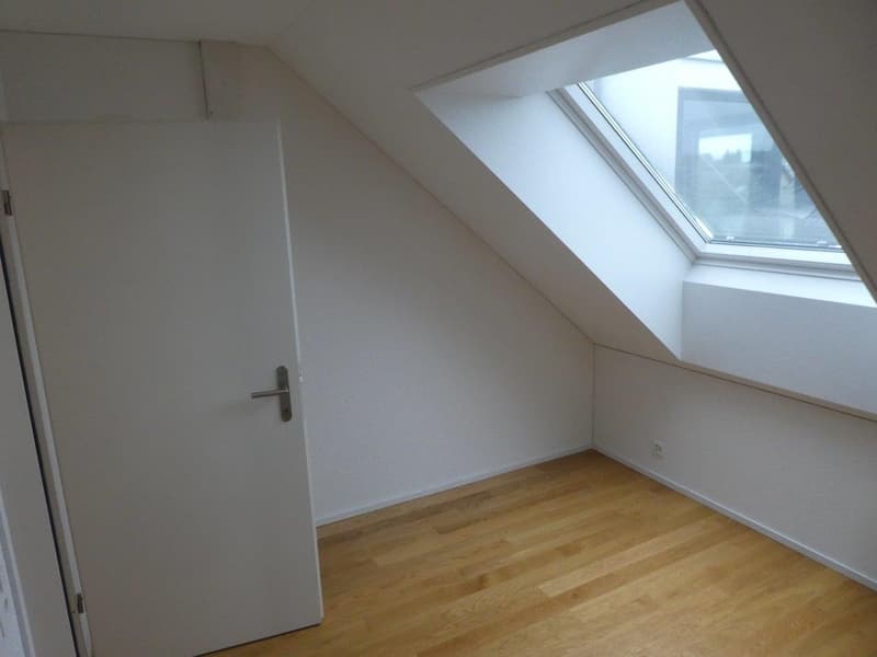 empty room, wooden floor, white walls, white door, skylight