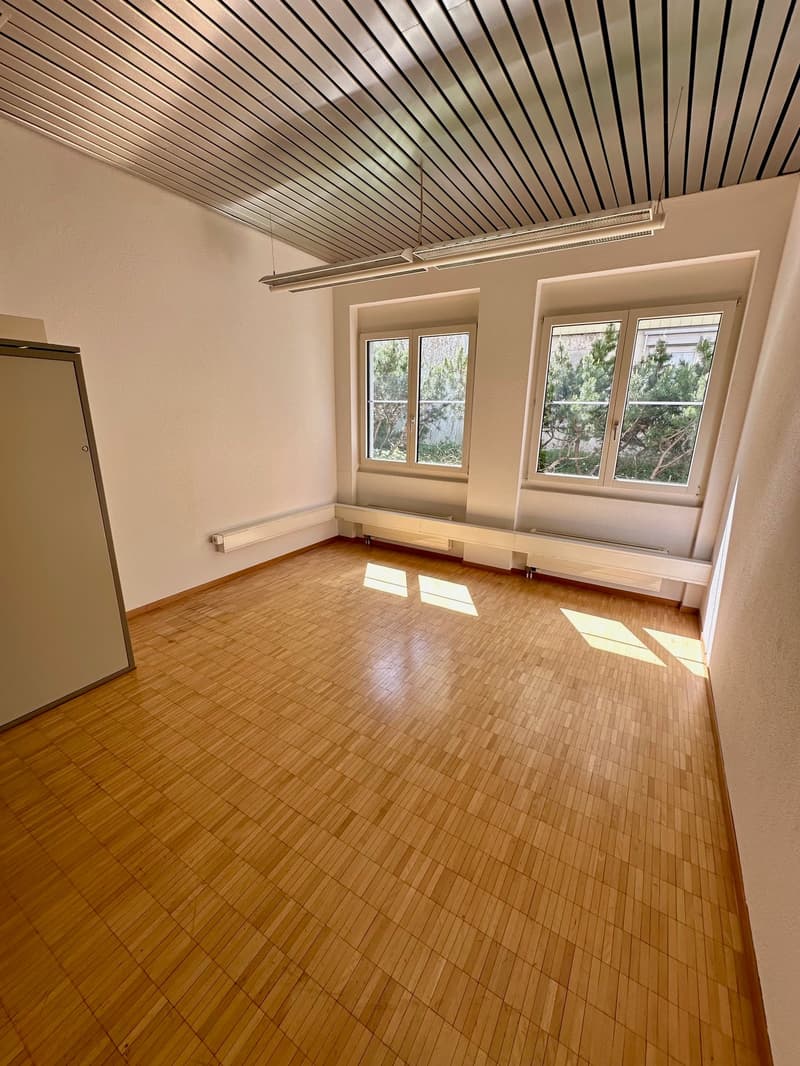 empty room, wooden floor, white walls, two windows, ceiling with lights