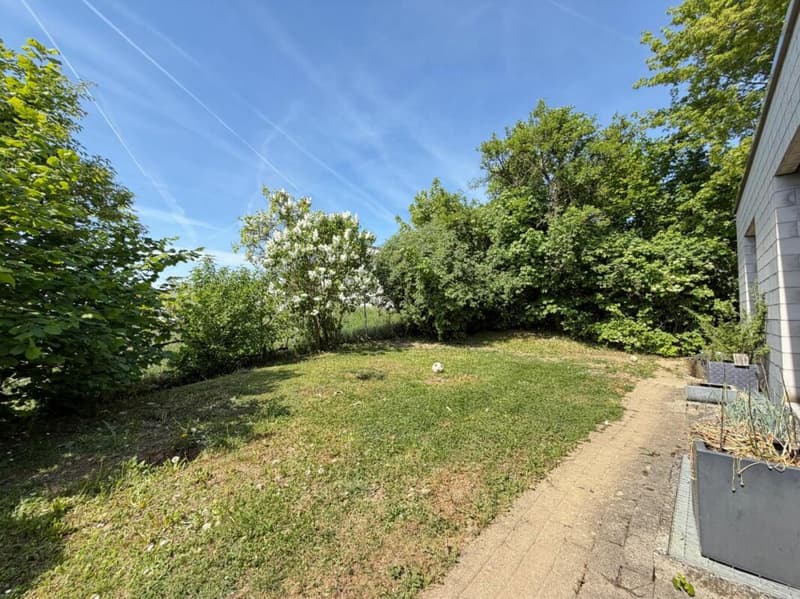 Wohnen auf einer Ebene mit Gartenidylle! (14)