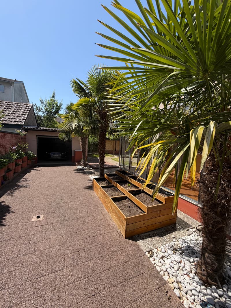 5-Zimmer-Reiheneckhaus mit Wintergarten in Birsfelden kaufen (2)