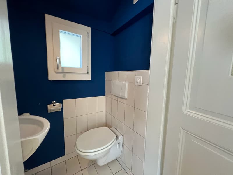 Haus-im-Haus-Feeling: Grosszügige 4-Zimmer-Maisonette-Wohnung in Binningen (13)
