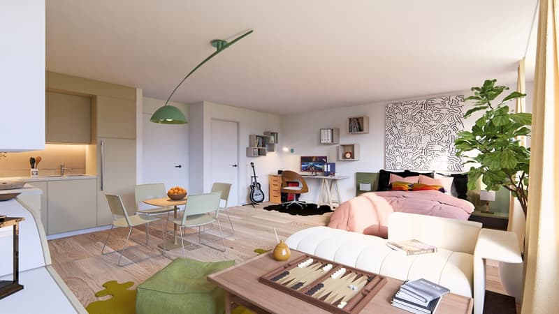 Promotion de 25 appartements du studio au 5.5 pièces à vendre à Siviriez (2)