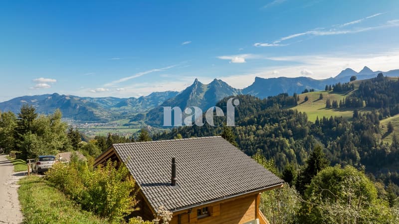 Chalet soigné dans un cadre d'exception à vendre à Moléson-sur-Gruyères (11)