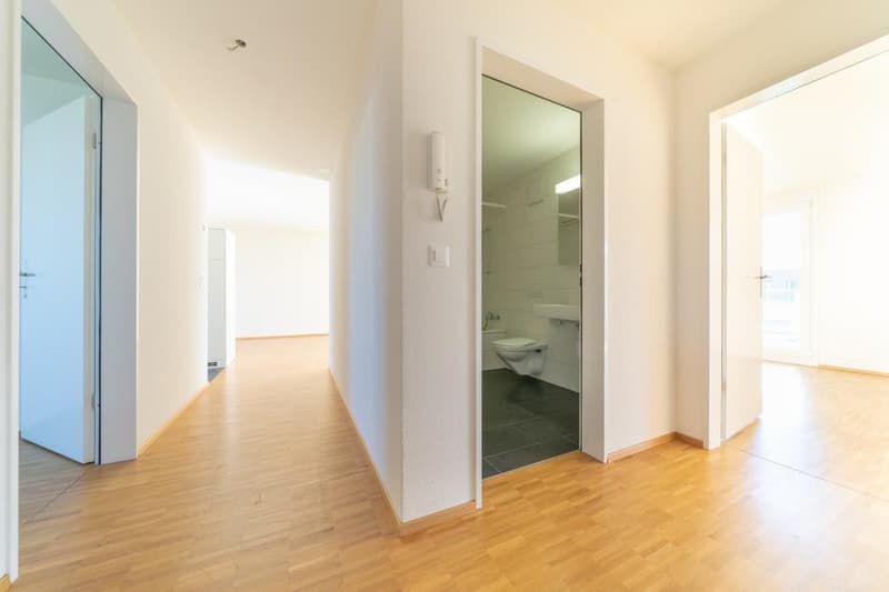 Attikawohnung im lebendigem Quartier (5)