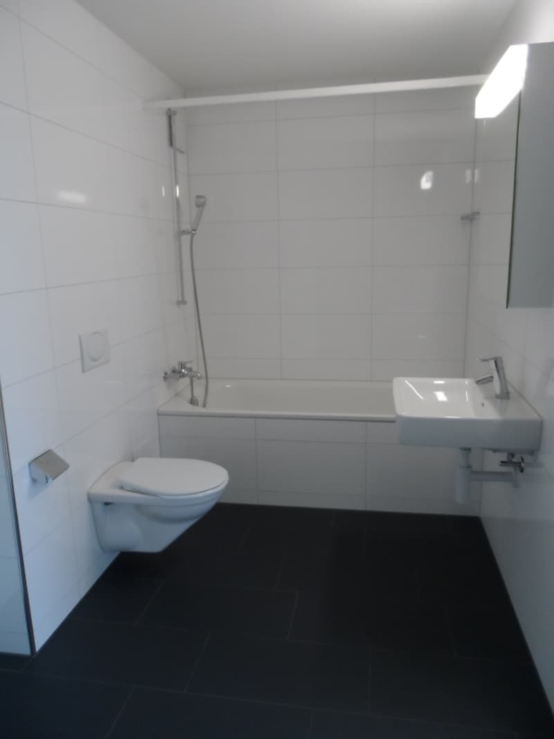 4.5-Zimmer-Wohnung mit zwei Terrassen! (2)