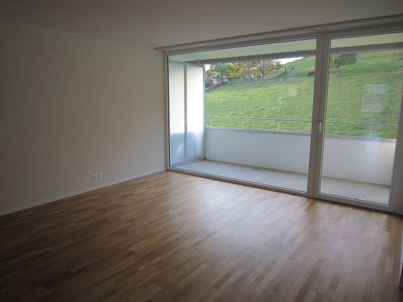 4.5-Zimmer-Wohnung mit zwei Terrassen! (3)