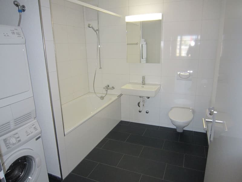 Schöne, moderne 3.5-Zimmer-Wohnung (3)