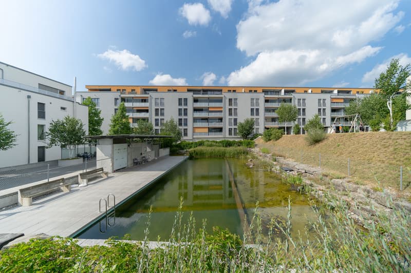 Liegenschaft
