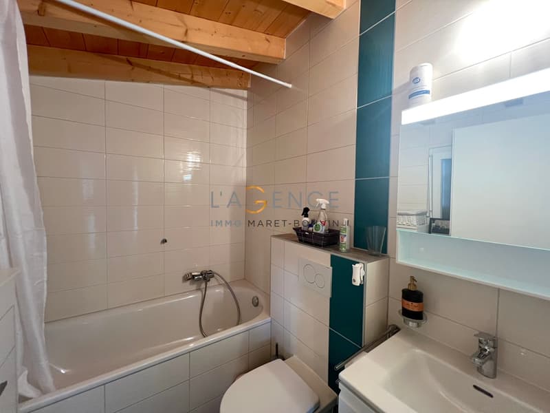 APPARTEMENT 3,5 PCES ET STUDIO DE 1,5 PCES DE RENDEMENT (4)
