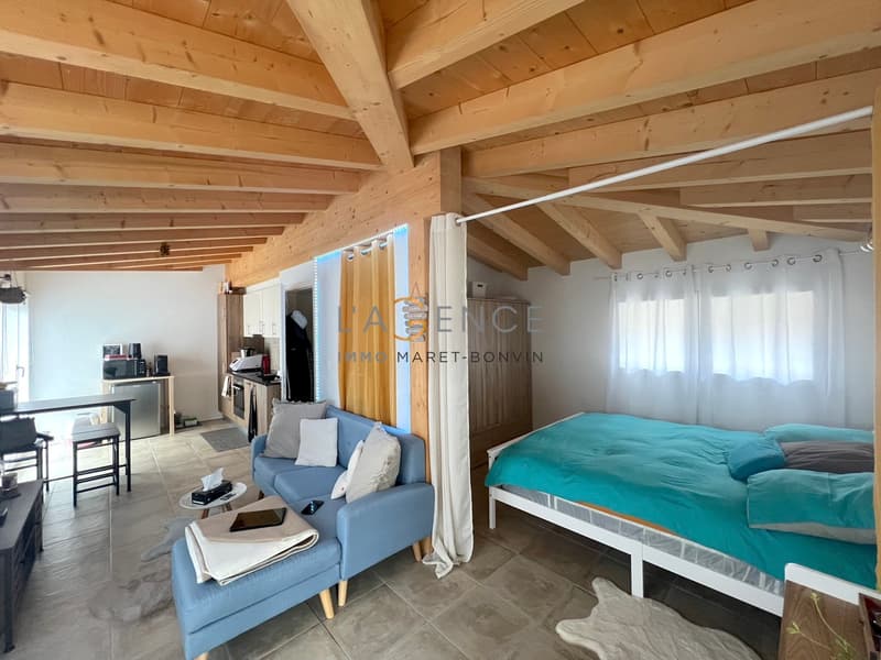 APPARTEMENT 3,5 PCES ET STUDIO DE 1,5 PCES DE RENDEMENT (6)