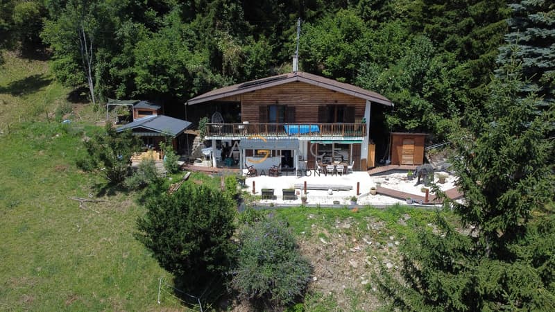 CHARMANT CHALET RENOVE AUX MAYEN DE CONTHEY (1)