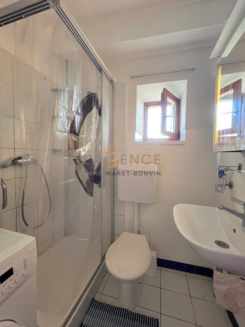 APPARTEMENT DE 3,5 PCES A BRAMOIS AVEC TERRAIN DE 222M2 (5)