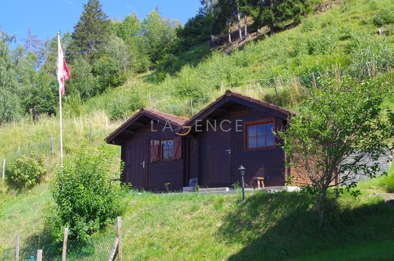 CHALET TRADITIONNEL AVEC VUE IMPRENABLE (10)