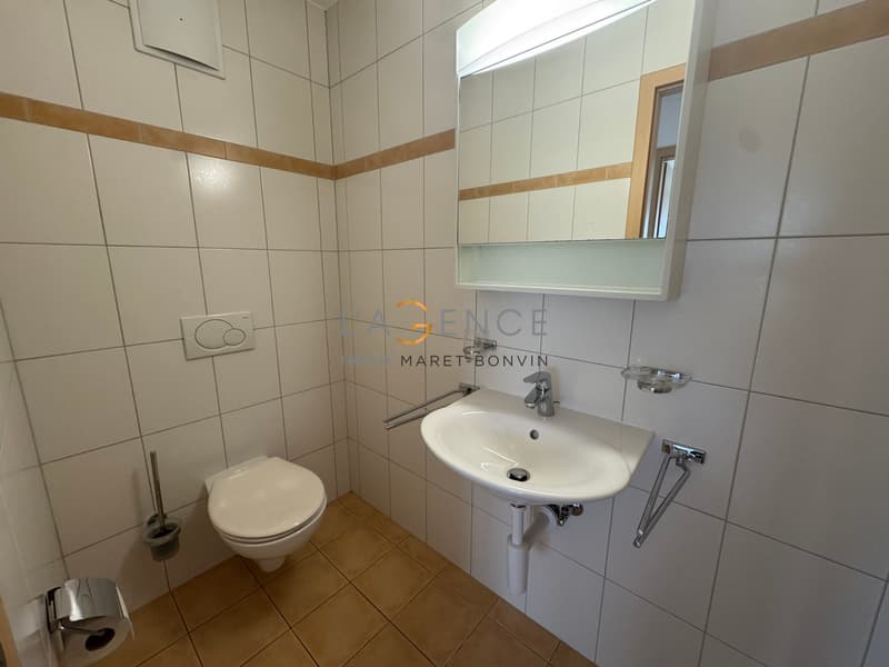 A saisir - lumineux appartement de 4.5 pièces (7)
