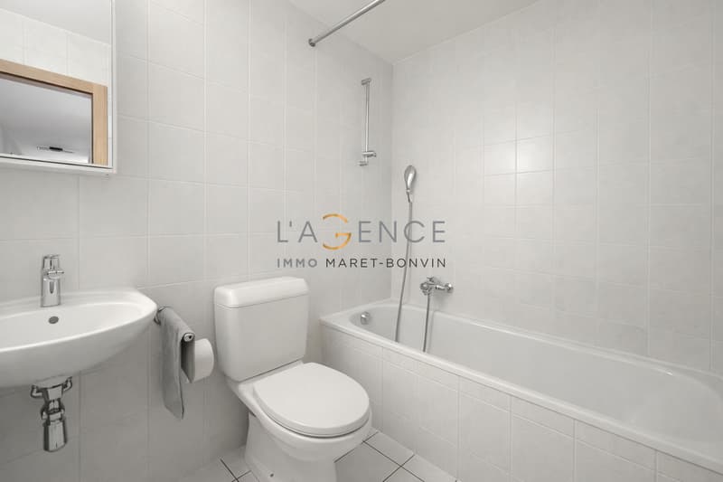 APPARTEMENT DE 4,5 PCES à 5 MINUTES DE SION - CHAMPLAN (6)