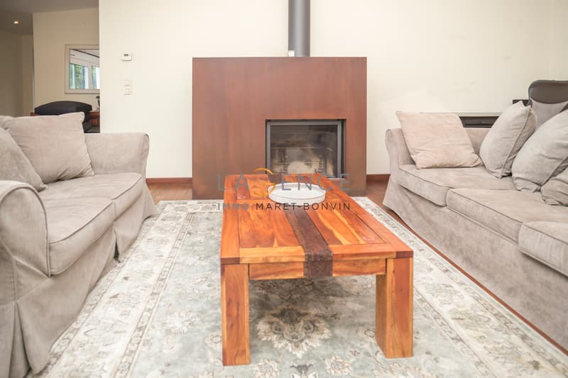Appartement en attique de 5.5 pièces avec grande terrasse (5)