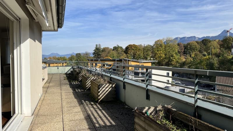 Appartement en attique de 5.5 pièces avec grande terrasse (13)