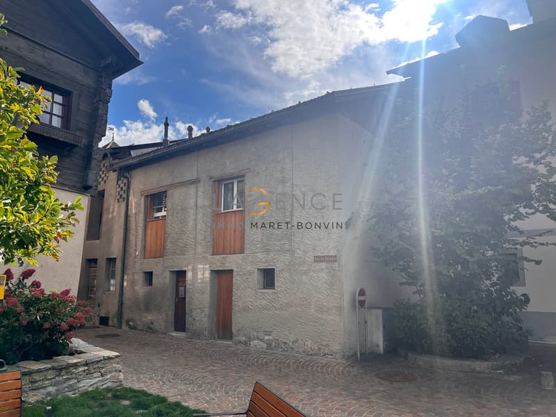 MAISON VILLAGEOISE RENOVE AVEC JARDIN DE 100M2 (1)