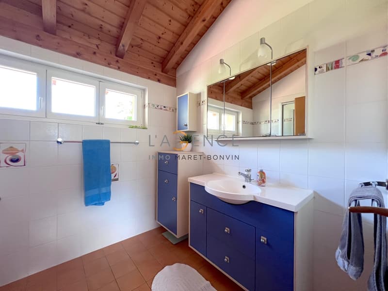 GRANDE VILLA INDIVIDUELLE DE 6,5 PIECES - FULLY (7)