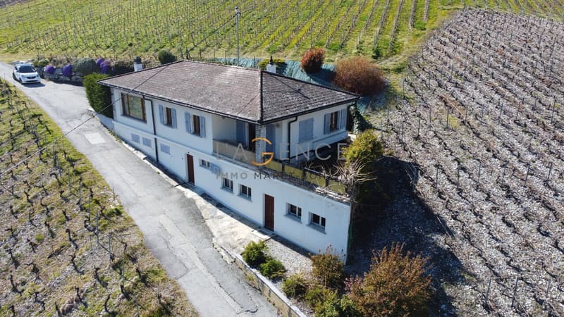 Maison individuelle au coeur du vignoble Valaisan ! (2)