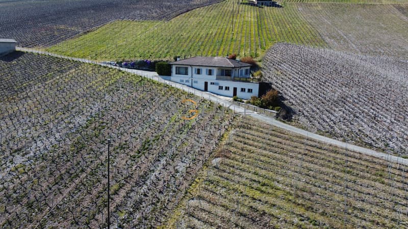 Maison individuelle au coeur du vignoble Valaisan ! (1)