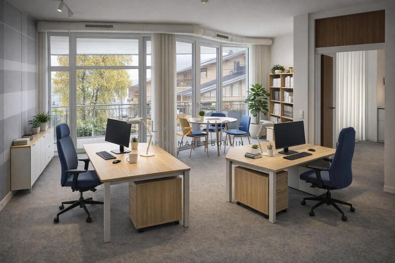 Surface commerciale de 462 m² (3)