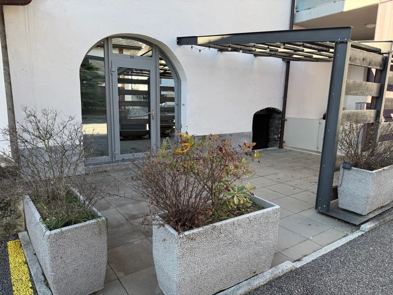 Splendide appartement de 2.5 pièce avec terrasse ! (11)