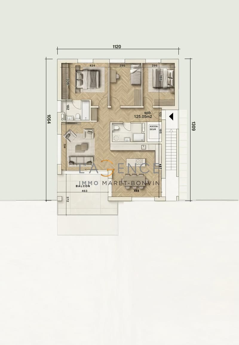 ATTIQUE DE 4,5 PCES NEW PROMOTION - LE VIGNOBLE DE L'ARCHE (4)