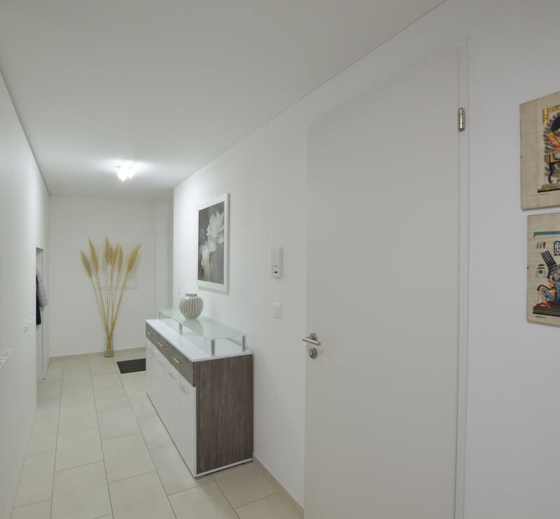 white walls, tile floor, decorative plant, white cabinet, white vase on cabinet, framed painting on wall, white door