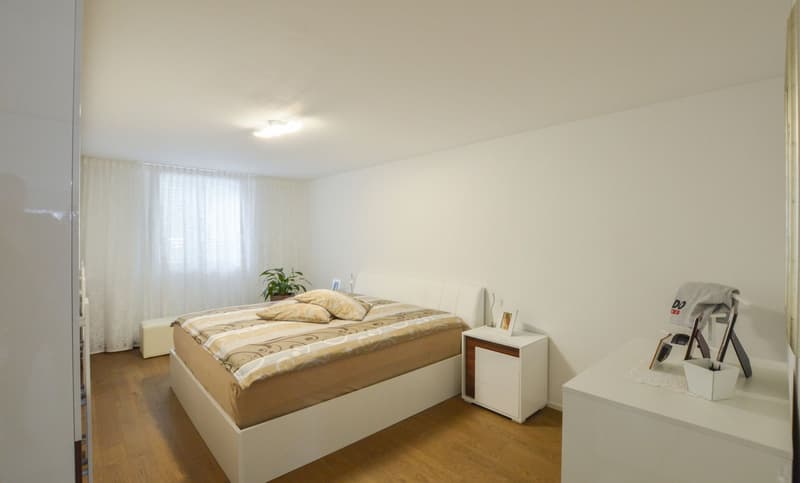 Appartamento moderno di 4 locali in una zona tranquilla di Fahrwangen (8)