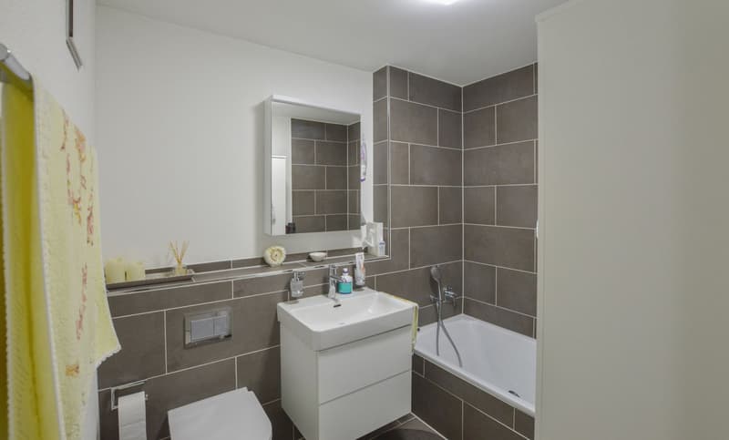 Appartamento moderno di 4 locali in una zona tranquilla di Fahrwangen (10)