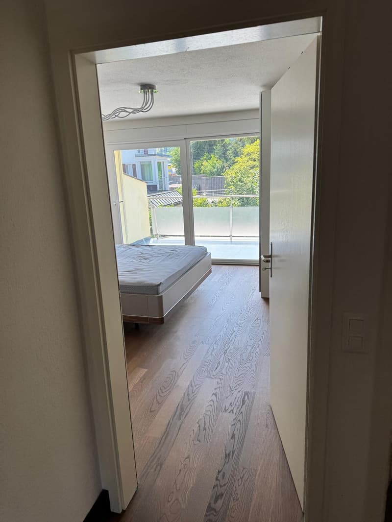 Charmantes 6.5-Zimmer-Reihenhaus an der Bahnhofstrasse in Dottikon (15)