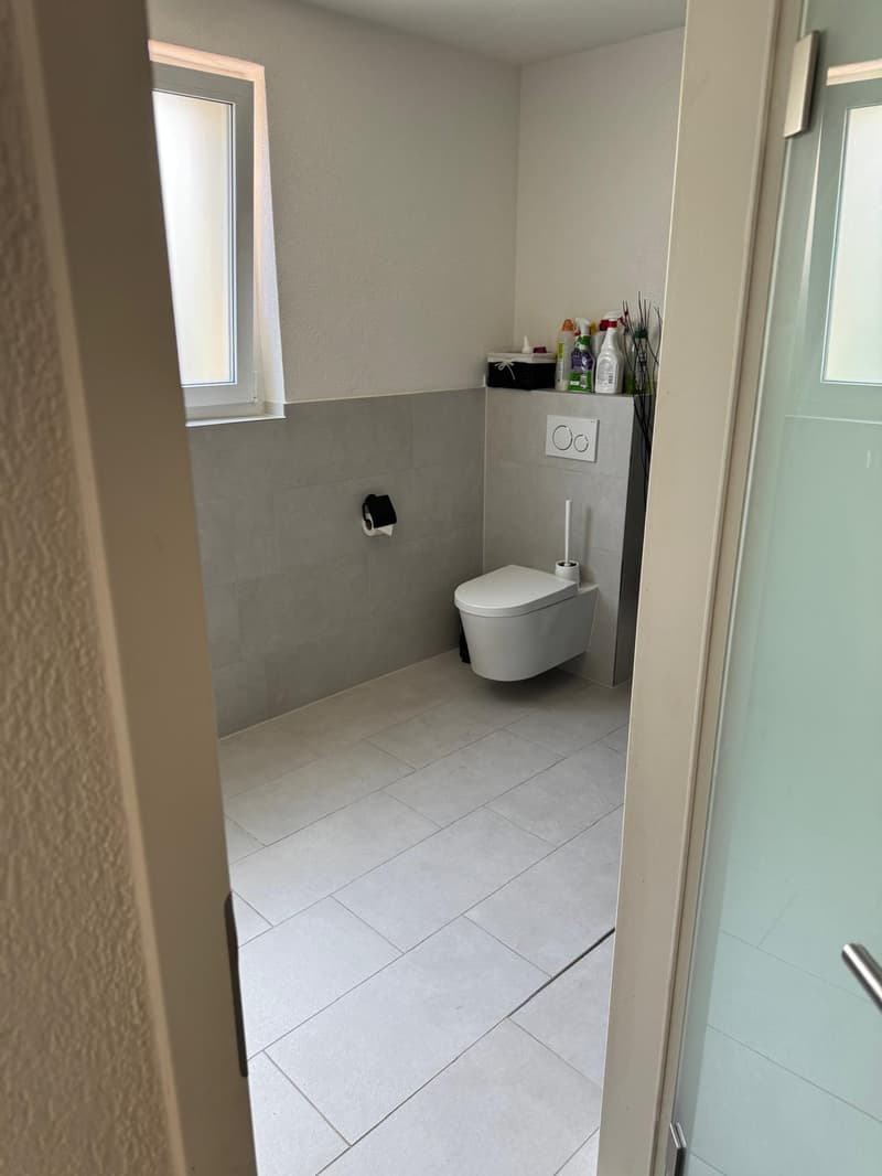 Charmantes 6.5-Zimmer-Reihenhaus an der Bahnhofstrasse in Dottikon (12)