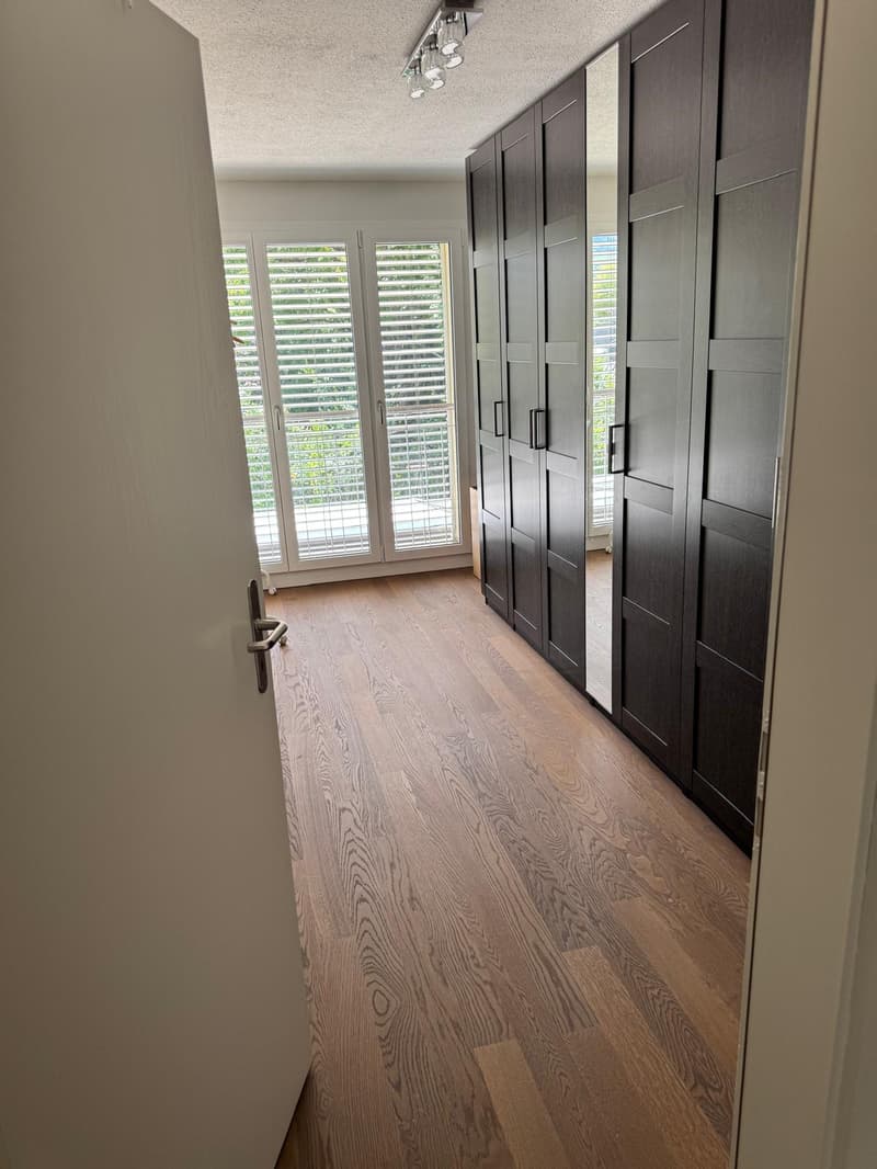 Charmantes 6.5-Zimmer-Reihenhaus an der Bahnhofstrasse in Dottikon (11)