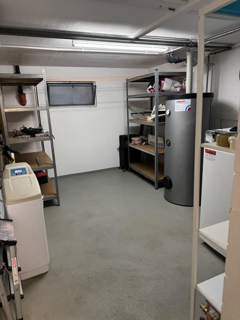Charmantes 6.5-Zimmer-Reihenhaus an der Bahnhofstrasse in Dottikon (14)