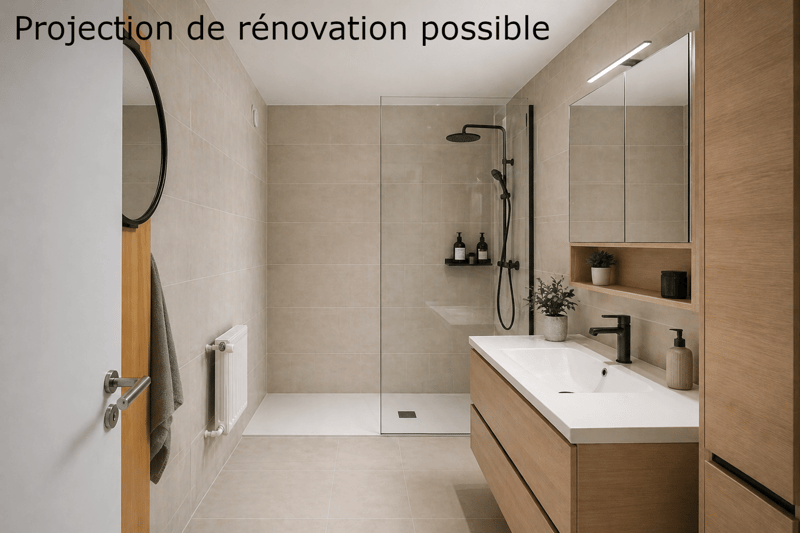 Magnifique appartement de 3,5 pièces , vue panoramique Lac Léman à Clarens . Garage inclus (11)
