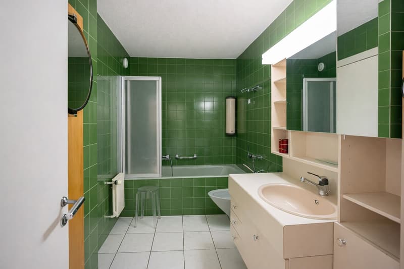 Magnifique appartement de 3,5 pièces , vue panoramique Lac Léman à Clarens . Garage inclus (10)