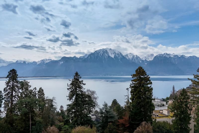 Magnifique appartement de 3,5 pièces , vue panoramique Lac Léman à Clarens . Garage inclus (1)
